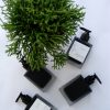 Sensilla Candles