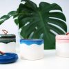 Sensilla ceramic soy candles